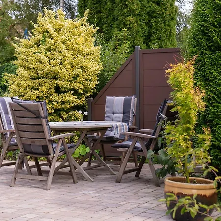 Seeschwalbe Mit Grossem Garten